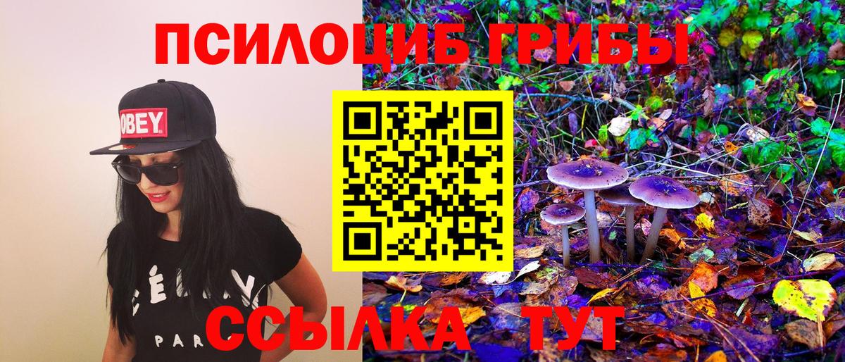 Мурманск  Галлюциногенные грибы ЛСД  Вход с VPN  Галлюциногенные грибы GOLDEN TEACHER 