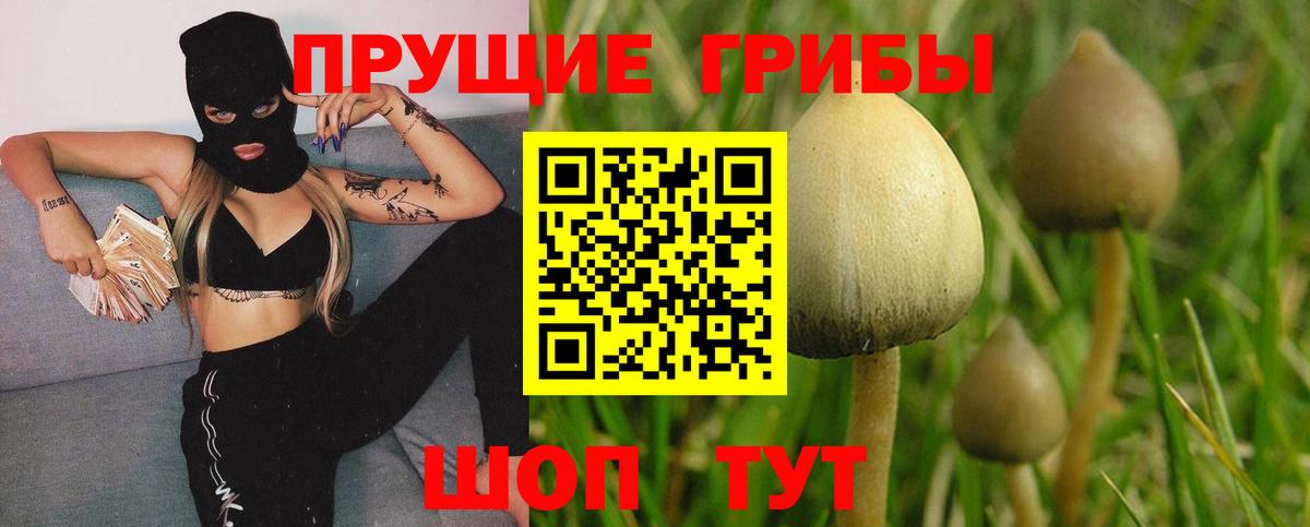 Псилоцибиновые грибы мухоморы Мурманск